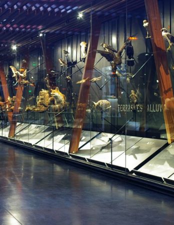 12 - La Fabrique des Savoirs, Elbeuf 2010